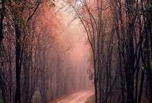 意大利女足力克尼日利亚队，晋级淘汰赛