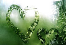 意大利女足力克尼日利亚队，晋级淘汰赛