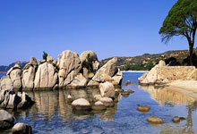 骄人表现！女子羽毛球选手晋级四强