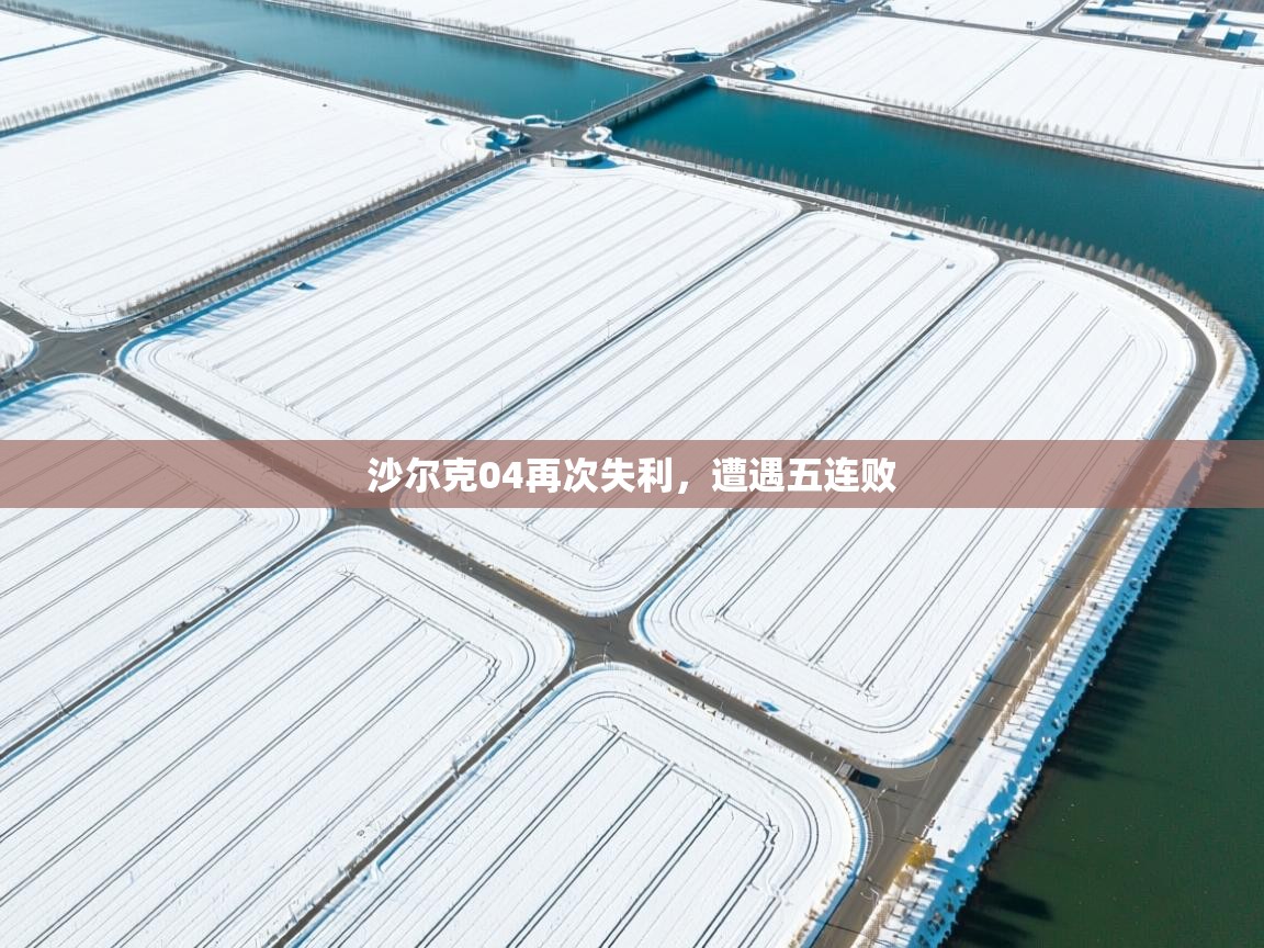 沙尔克04再次失利,遭遇五连败 第2张