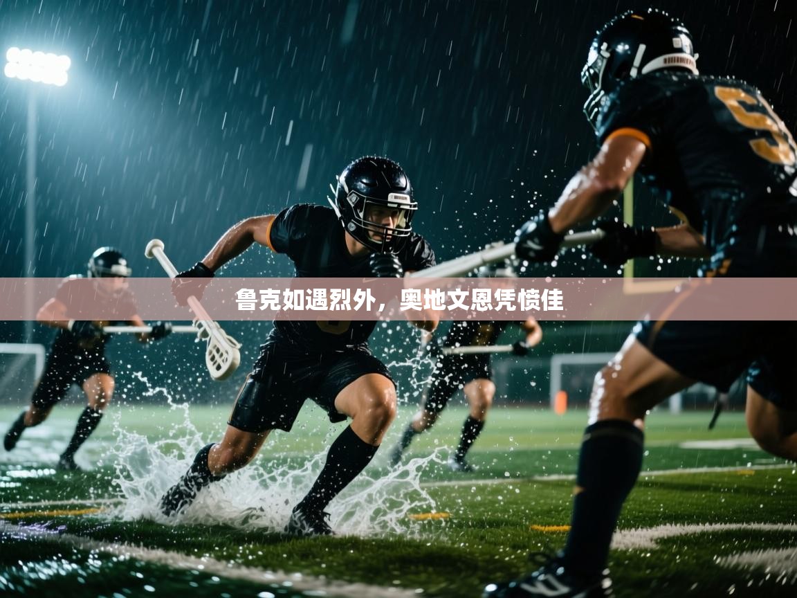 鲁克如遇烈外，奥地文恩凭愤佳