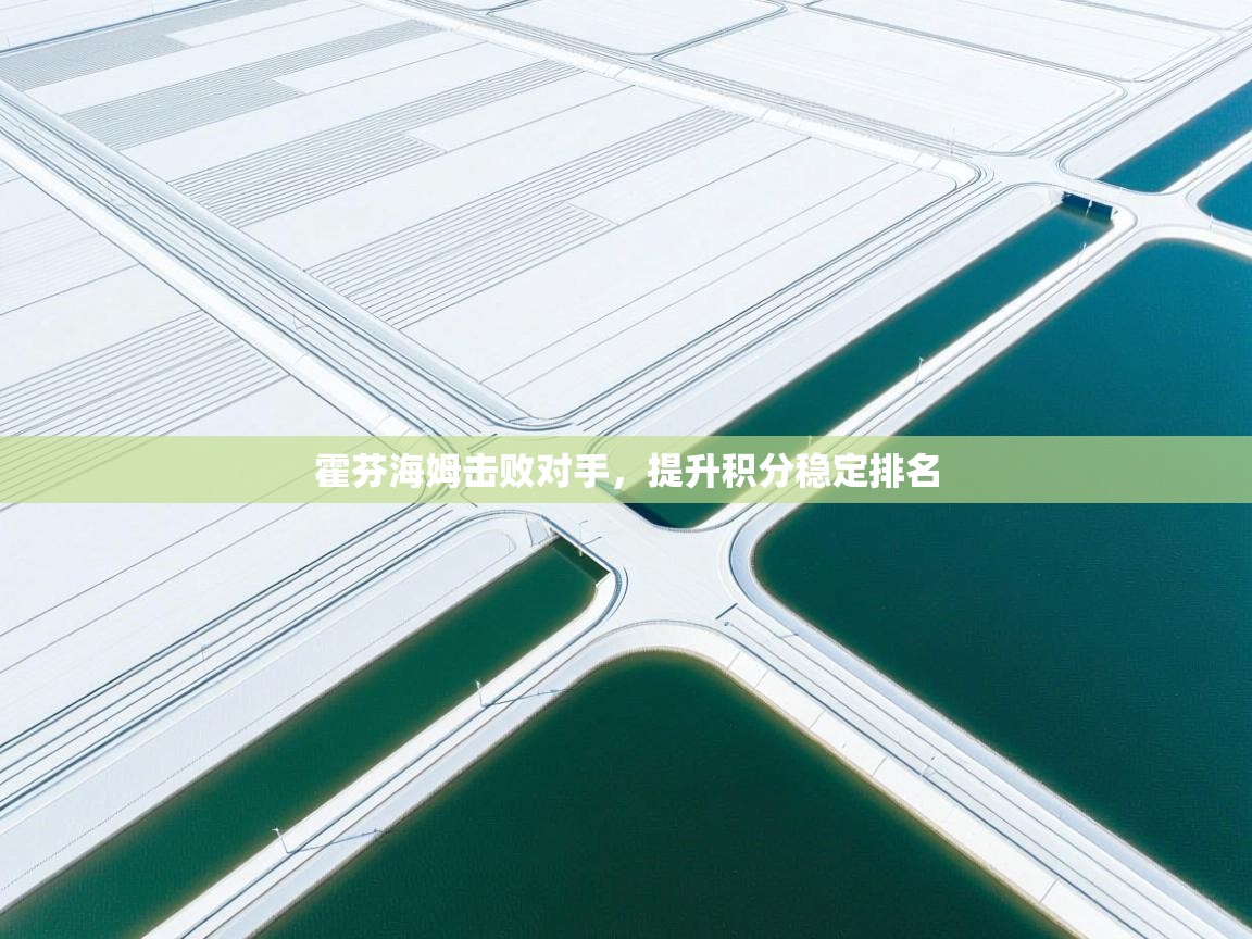 霍芬海姆击败对手，提升积分稳定排名